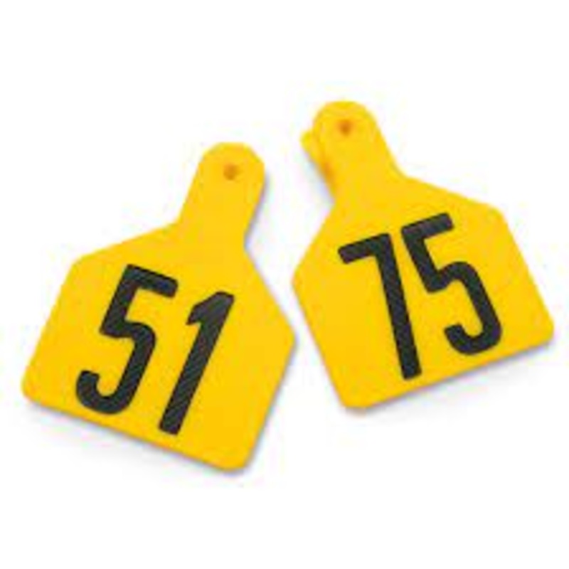 Z Tags Calf Ear Tags Yellow Numbered 51-75
