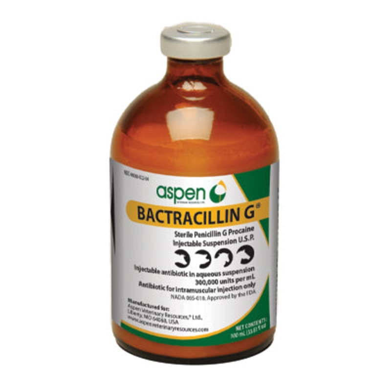 Aspen Veterinary Resources Bactracillin G