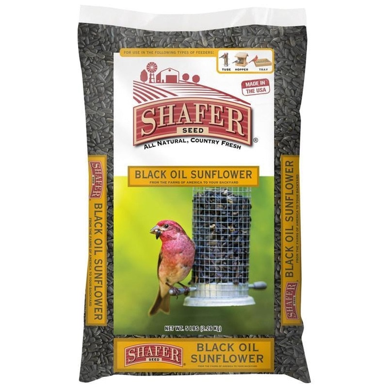 Shafer Black Oil Sunflower Seed 50 lb