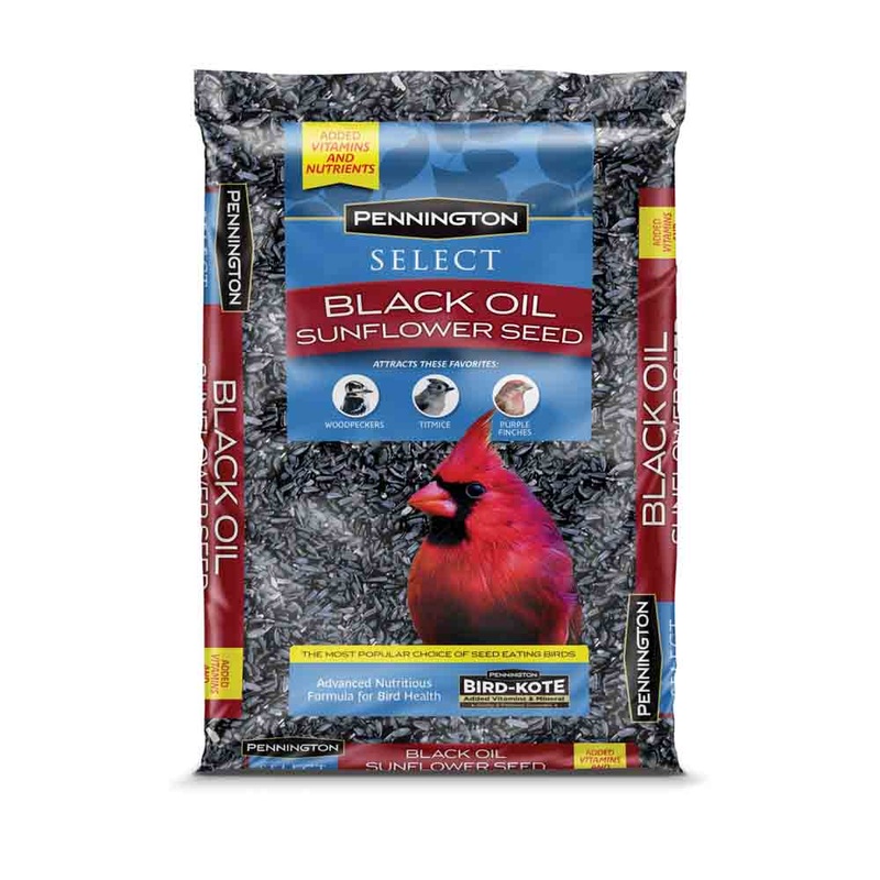 Pennington Select Black Oil Sunflower Seed 5 LB