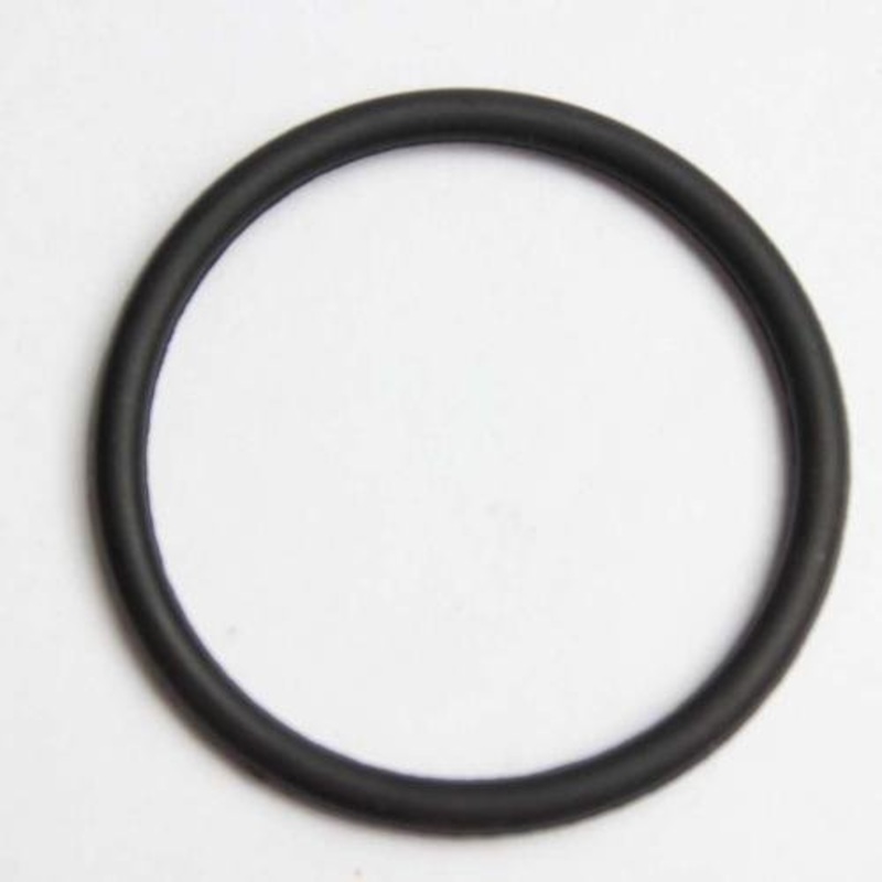 Delonghi EW7307K Oil Filled Radiator Gasket