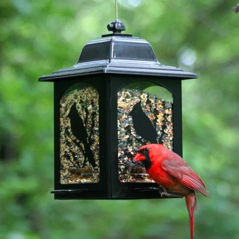 Woodstream Perky-Pet Birds And Berries Lantern Wild Bird Feeder