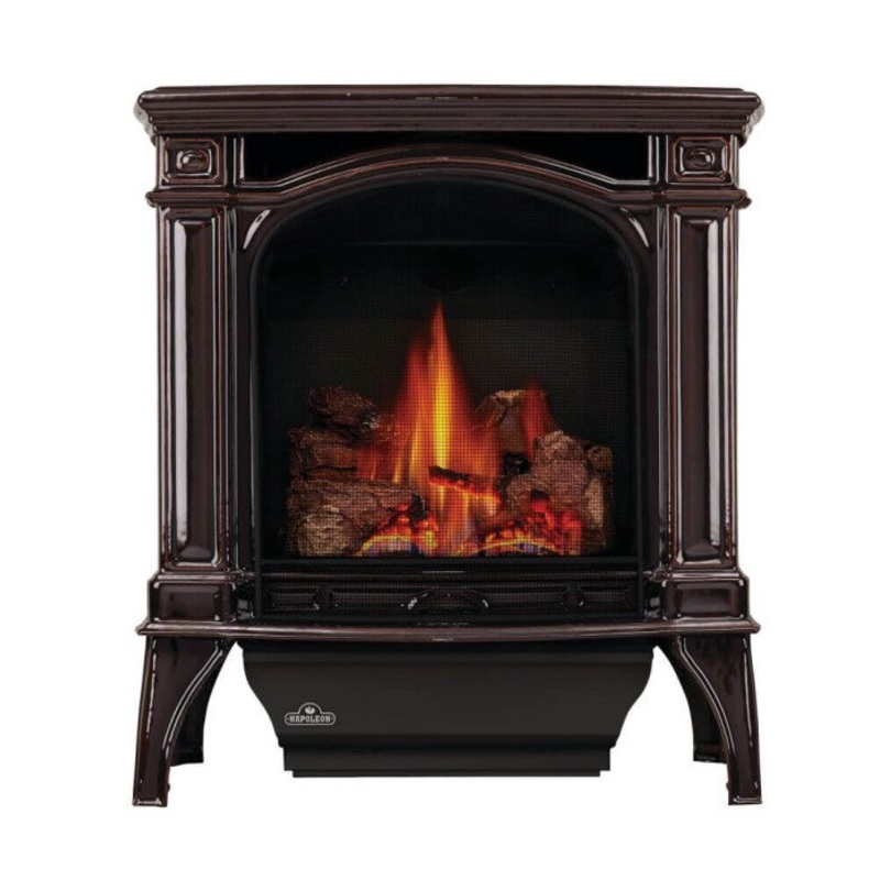 Napoleon 24 Inch Bayfield Cast Iron Freestanding Direct Vent Gas Stove Metallic Black