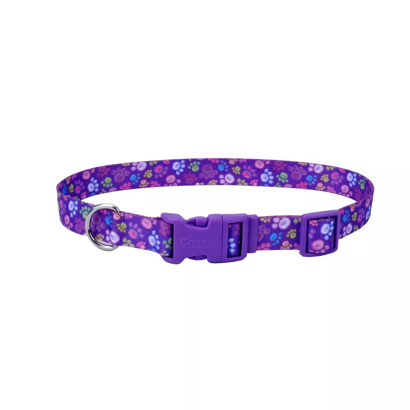 Coastal Pet Products Styles Adjustable Dog Collar 3/4″ x 14″-20″ Wildflower